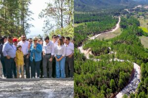 GridArt 20250731 204927130