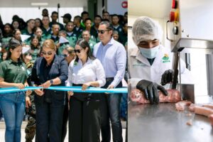 GridArt 20250903 155758884