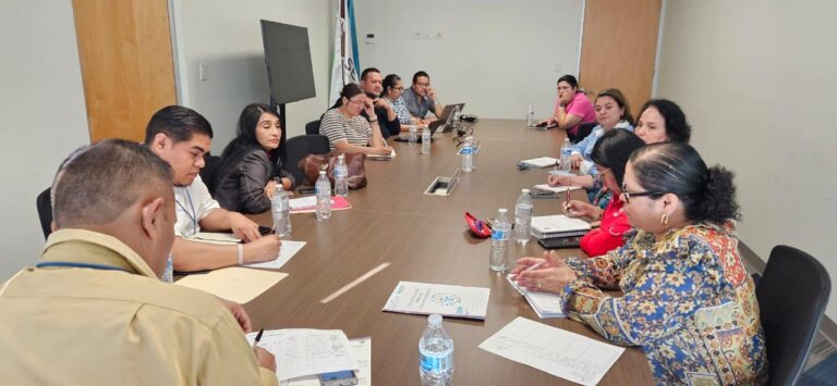 Asistencias Técnicas Brindadas por la DDP en el Perfilamiento de Nuevos Proyectos a las Instituciones de Gobierno, Año 2025